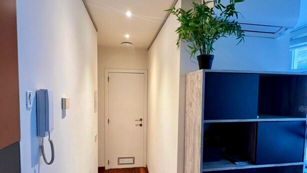 Ein schmaler Flur mit Holzboden, einer weißen Tür am Ende, einer Topfpflanze auf einem Regal und einem Telefon an der Wand.