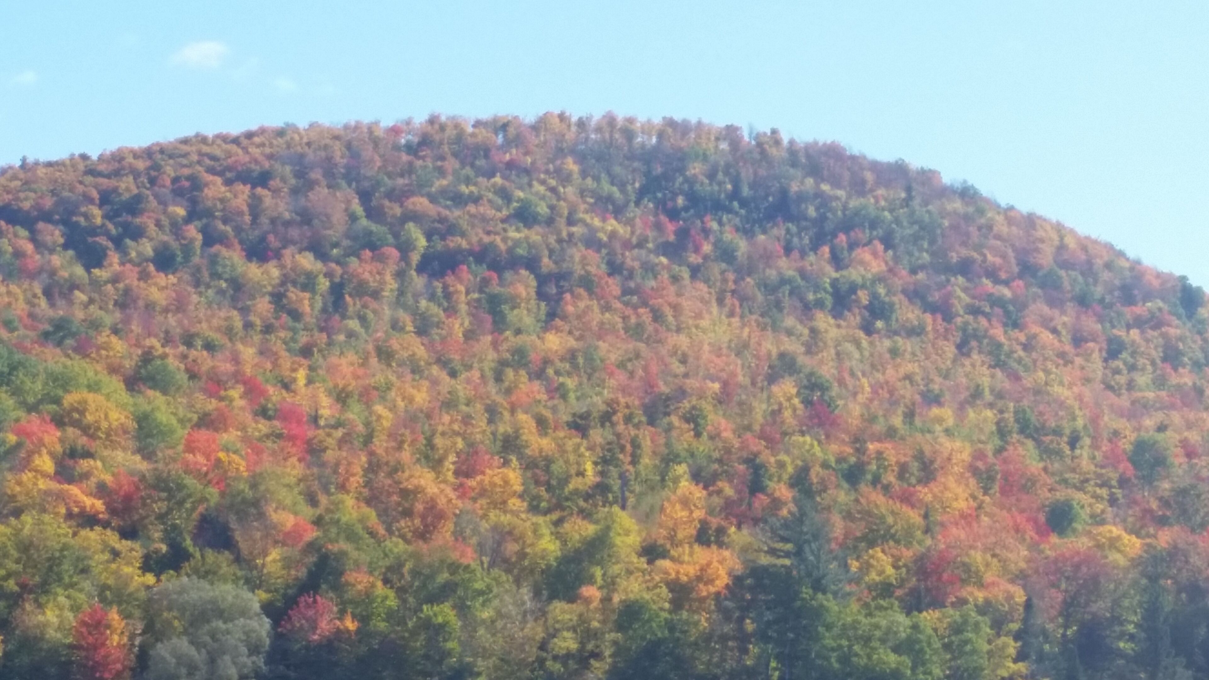 Diverse