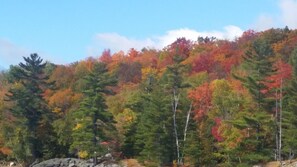 A dense forest with a variety of trees displaying autumn colors. - Adirondack Hideout, lakefront location and sandy shoreline (Lyon Mountain)