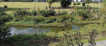 Cosy place in the Wattle Downs