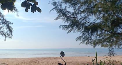 Win Gray Homestay Resort - Pink