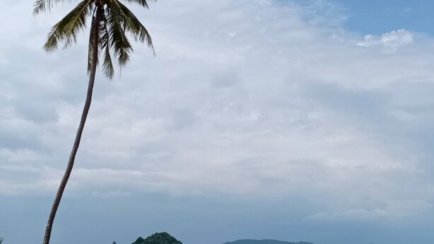 Beach - Win Gray Homestay Resort - Pink (Pathio)