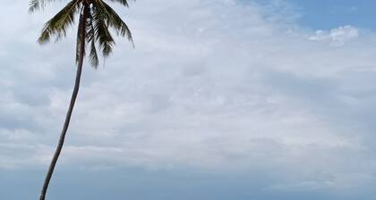 Win Gray Homestay Resort - Pink