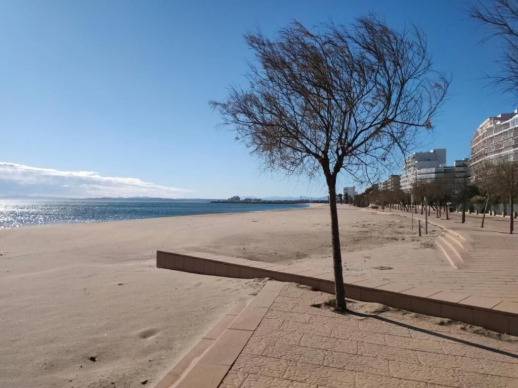 Una spiaggia con cielo sereno, un albero in primo piano e edifici sullo sfondo.