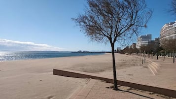 Una spiaggia con cielo sereno, un albero in primo piano e edifici sullo sfondo.