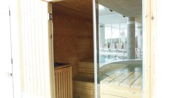 A wooden sauna with a glass door, wooden steps, and a bench.