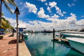 Un port de plaisance avec des bateaux amarrés, un ciel dégagé et un palmier.