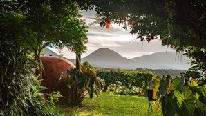 A lush garden with a large red rock, various plants, and a view of mountains in the background. - Hotel Juayua (Juayua)