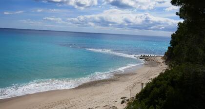 Maison avec piscine sur un terrain entiĂšrement clos