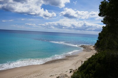 House with swimming pool on fully enclosed grounds