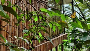 Estrutura de bambu com varanda voltada para um jardim exuberante.