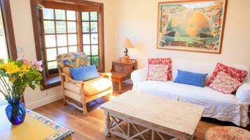 Télévision, cheminée, lecteur de DVD, espaces bureaux