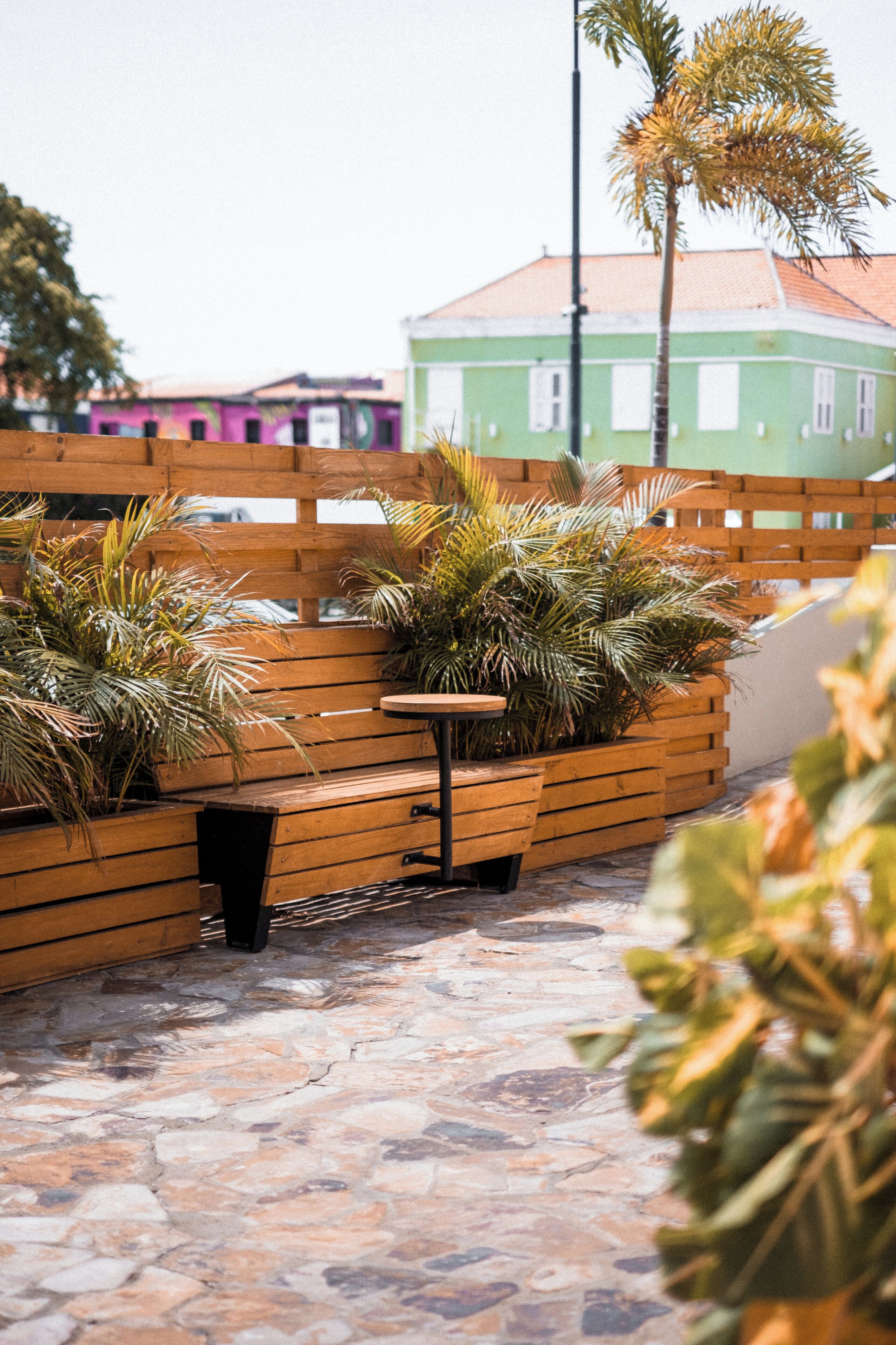 An outdoor seating area with wooden benches and planters containing palm plants.