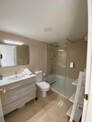 Douche, séchoir à cheveux, serviettes fournies, savon