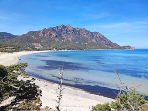 بالقرب من الشاطئ