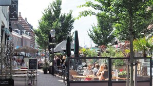 Une rue pavée bordée de terrasses et agrémentée de diverses plantes.