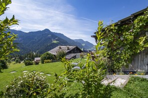 Property grounds - Traditional apartments Trebe 160A (Ortisei)