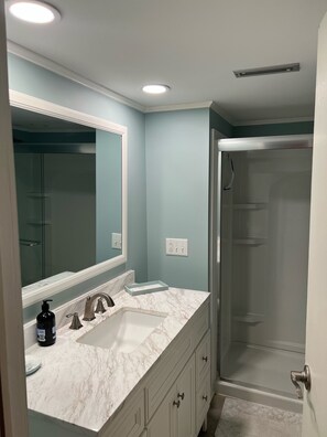 Shower, hair dryer, towels, toilet paper