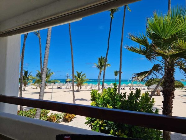 A beach view from a window with palm trees and a clear blue sky. - Stanza Mare B-201 Beach Front Bavaro, Punta Cana ,Best View Fully Equipped 3R-3B (Punta Cana)