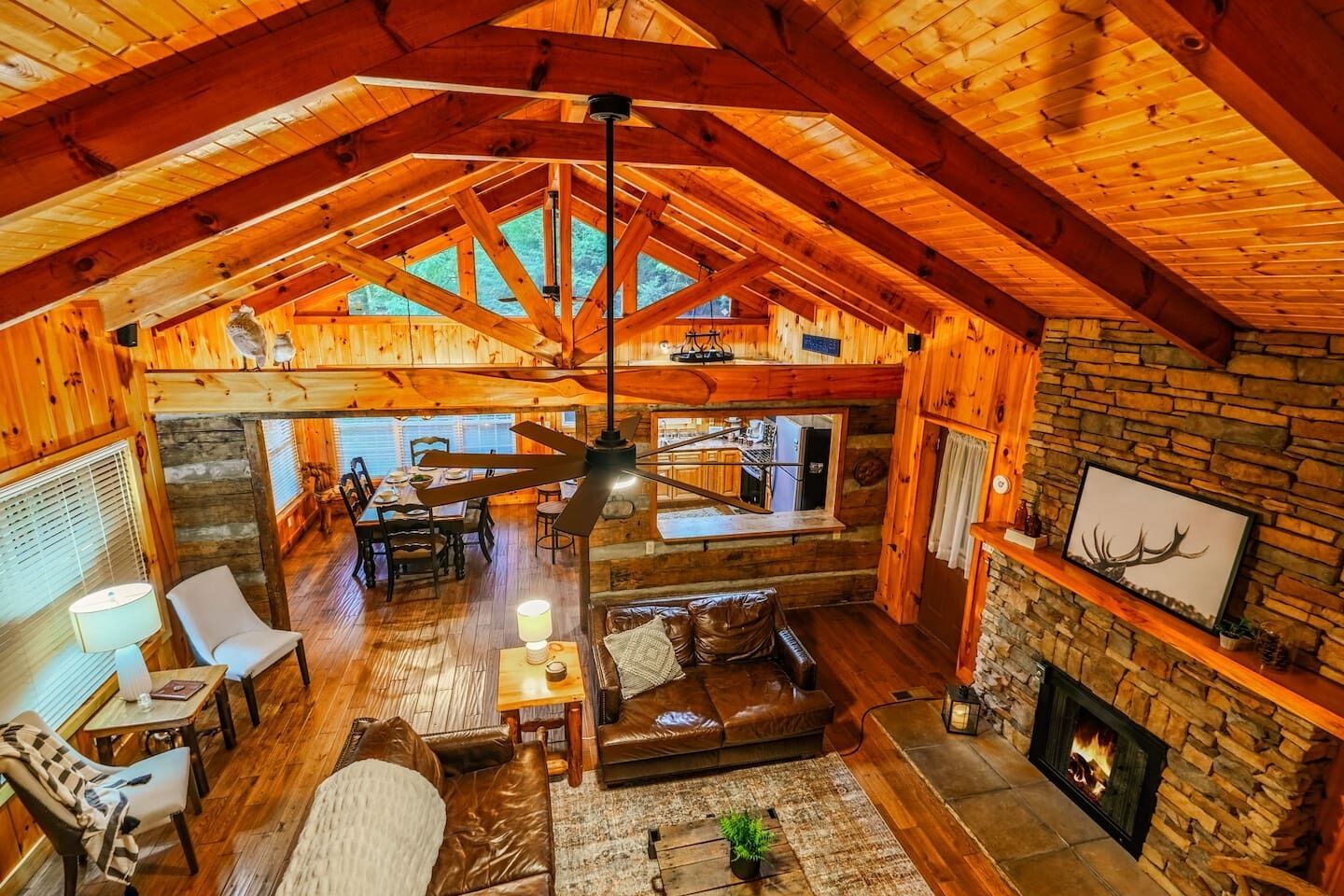 Smart TV, fireplace, video games, books