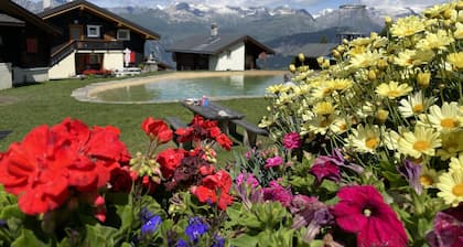 Willkommen mitten in der Aletsch-Arena!