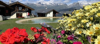 Willkommen mitten in der Aletsch-Arena!
