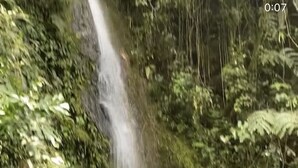 Une cascade entourée d’une végétation luxuriante.