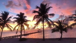 A beach scene with palm trees and a wooden pier extending into the water during sunset. - Oceanaire 4 - Amazing Oceanfront Views & Free use of Kayaks (San Pedro)