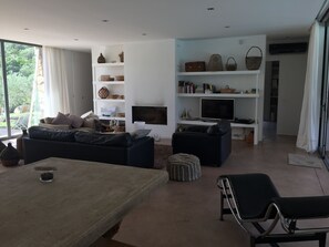 TV, fireplace, ping pong, books