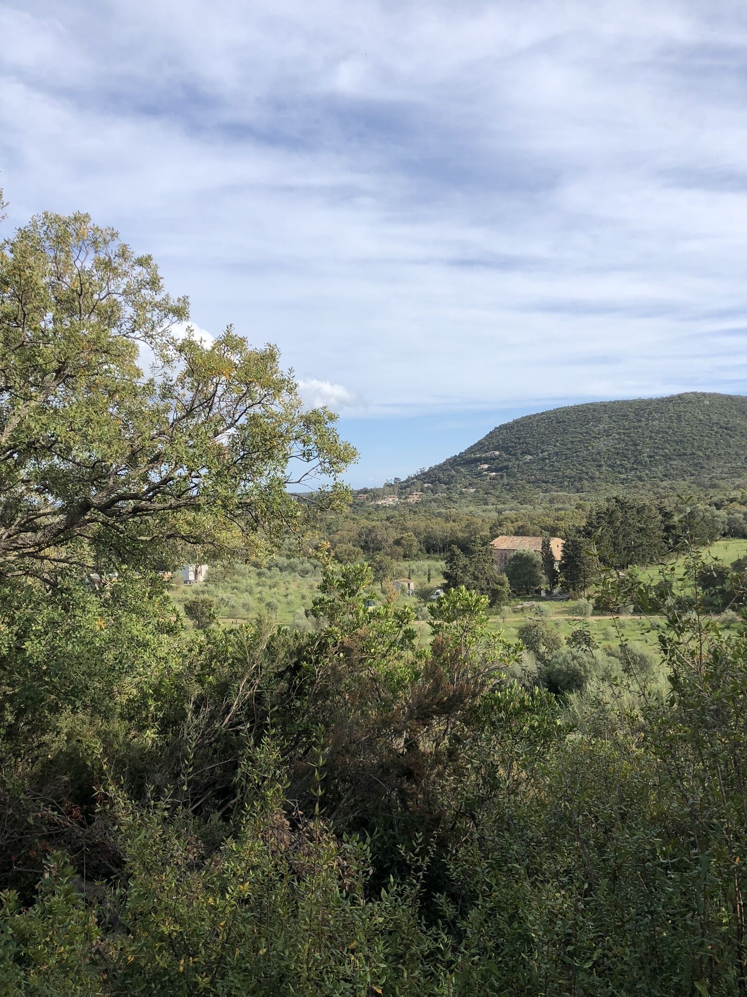 A lush green landscape with a hill in the background and a tree in the foreground.