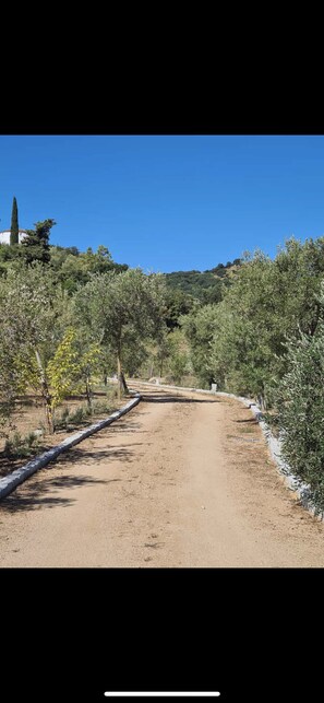 Photo non classée, 5 sur 11, bouton