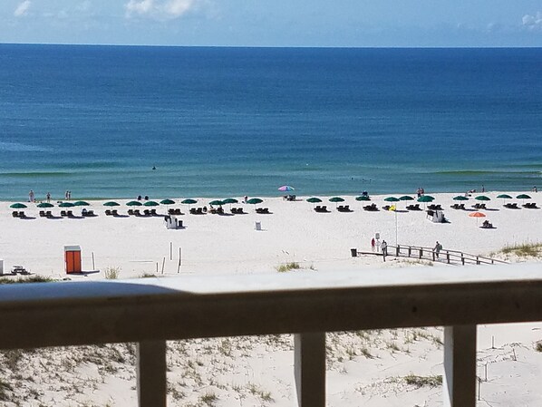 On the beach - Fabulous Gulf Front Corner Sunsuite!! Indoor Pool!  Nov 23-30, is Available! (Gulf Shores)