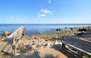 ビーチの近く、釣り