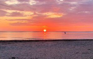 Beach nearby, fishing