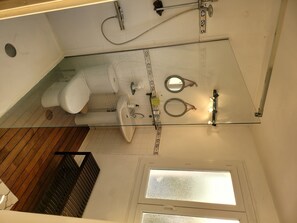 Bathroom features a glass-enclosed shower area with handheld and rain showerheads, a toilet, and a sink with a mirror.