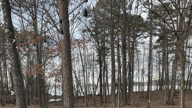 Two Adirondack chairs facing a fire pit with a forest backdrop. - On Lake Dardanelle, quiet but close to town (Dardanelle)