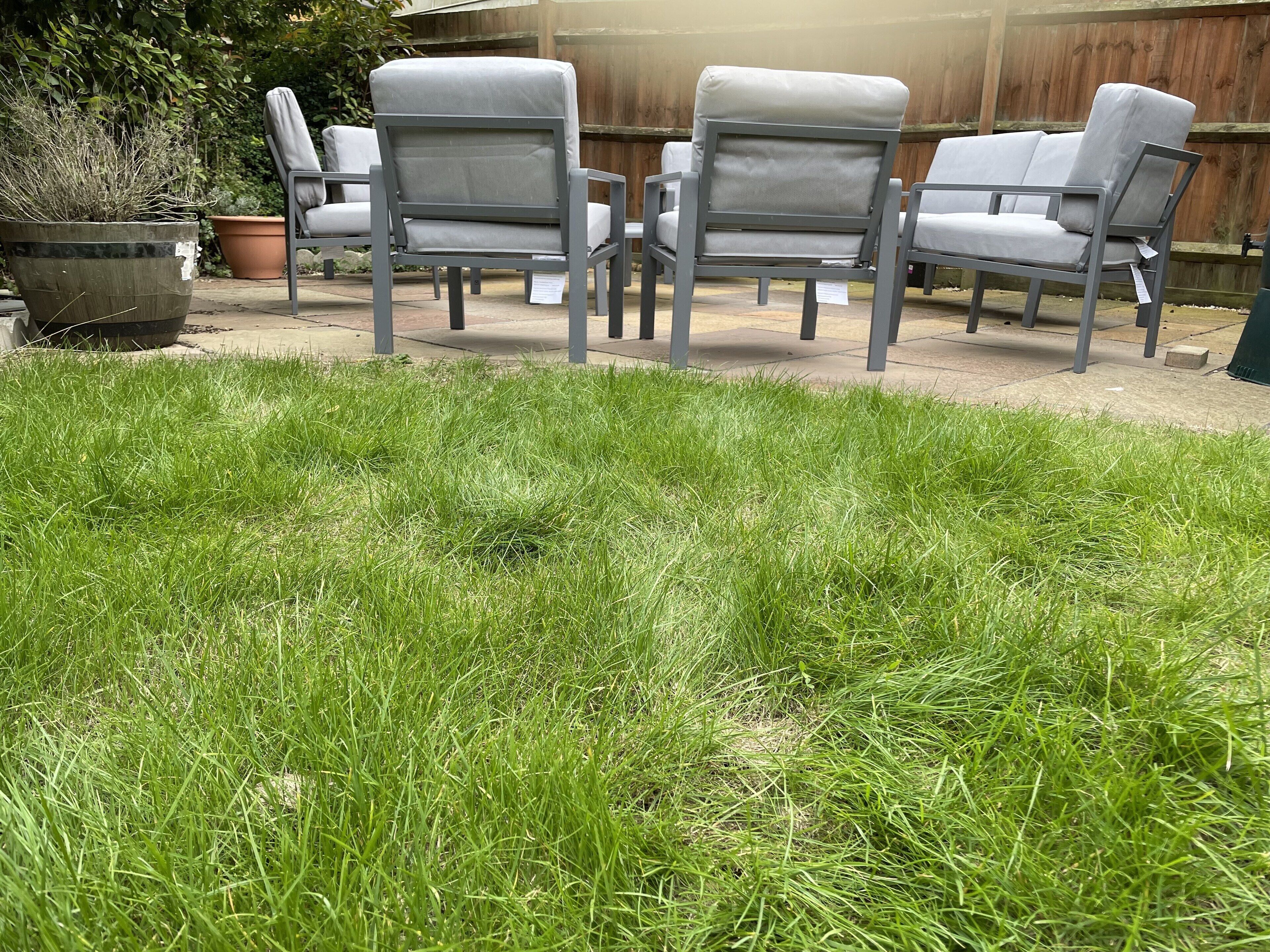 A backyard with a lawn, three grey chairs, and a wooden fence.