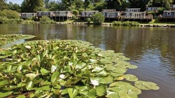 Cabin | Property grounds