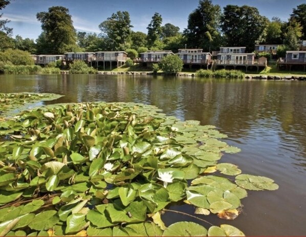 Cabin | Property grounds - Holiday Cabin Sleeps 5 Caernarfon, Snowdonia (Caernarfon)