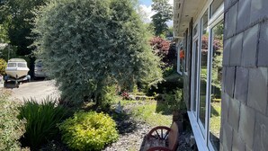 A garden with a wooden bench, a boat trailer, and a variety of plants. - Holiday Cabin Sleeps 5 Caernarfon, Snowdonia (Caernarfon)