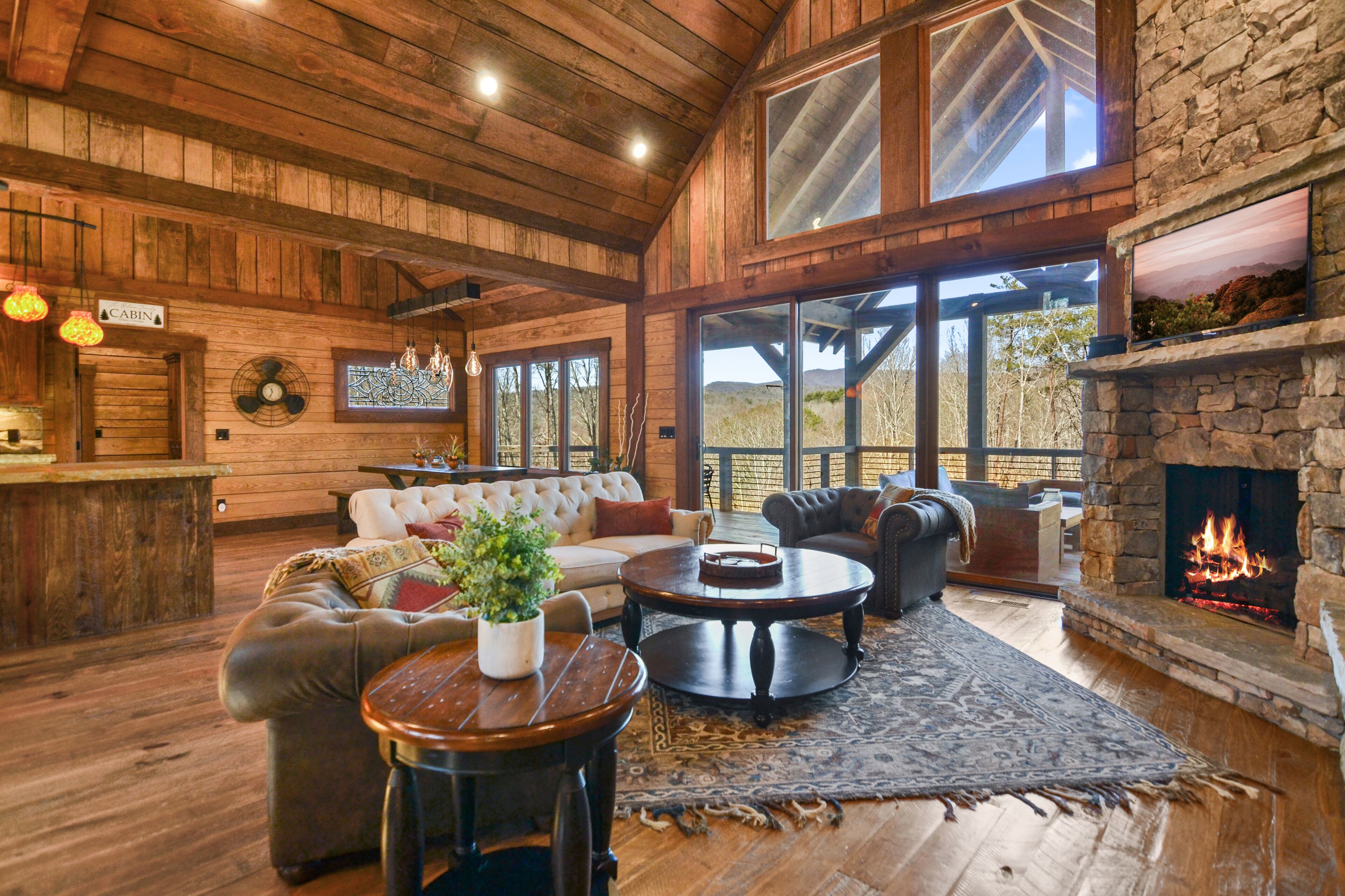 Smart TV, fireplace, books