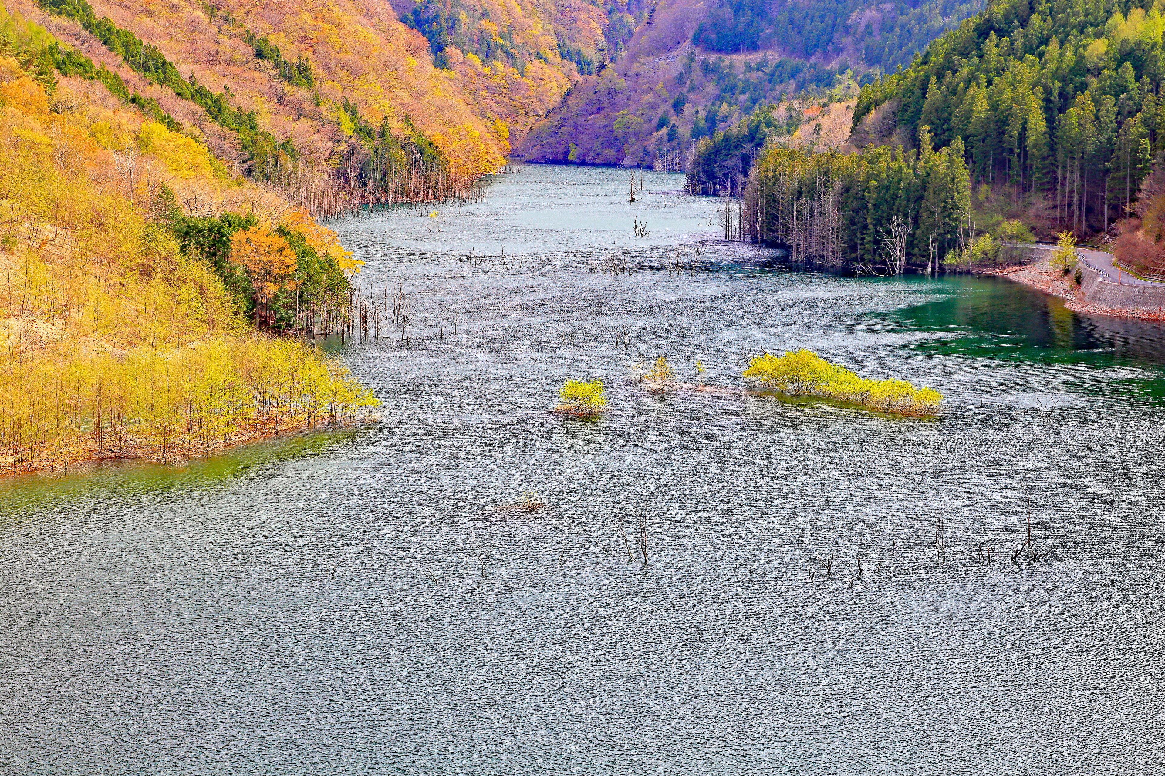A river surrounded by forested hills.