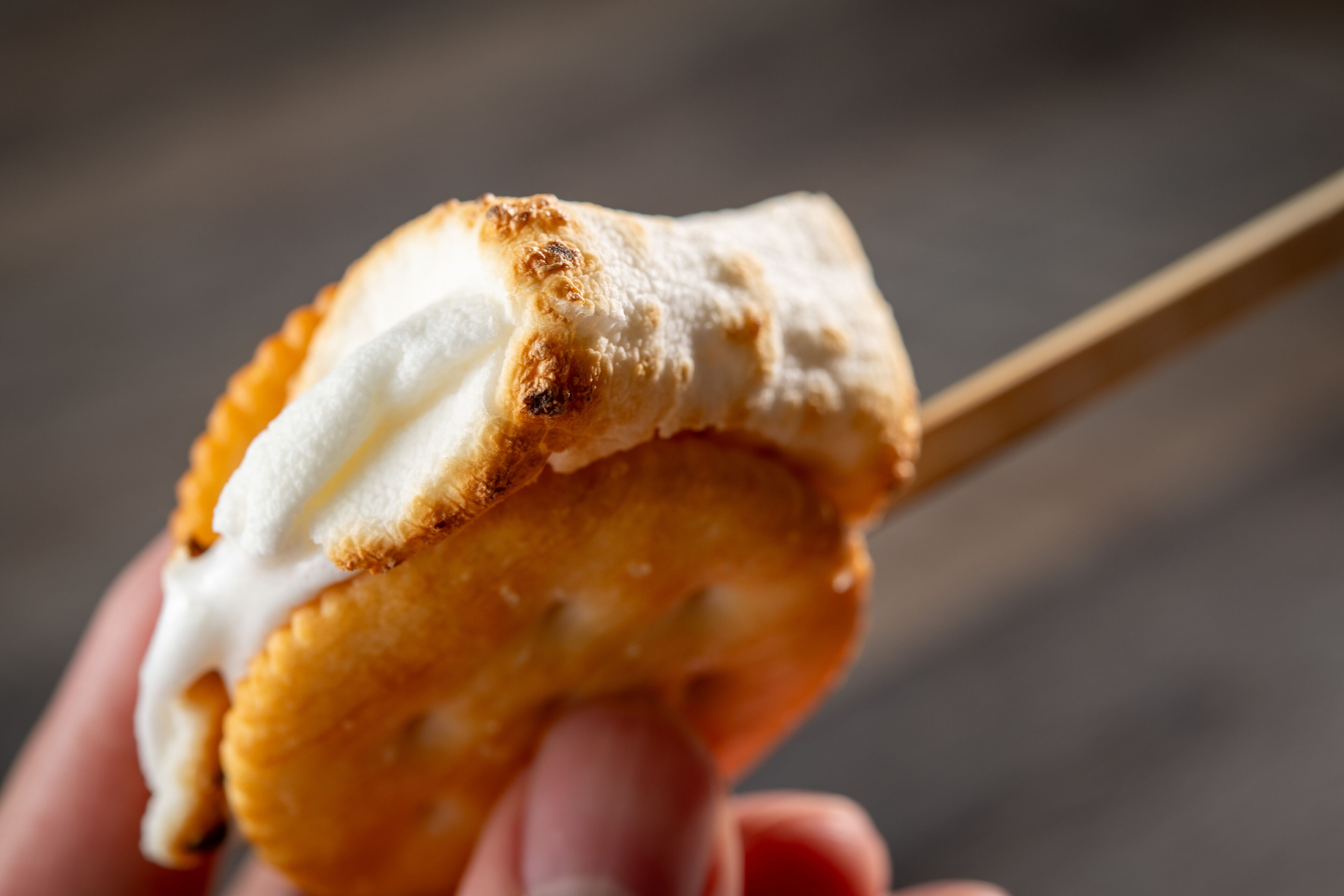 A close-up of a toasted marshmallow on a stick.