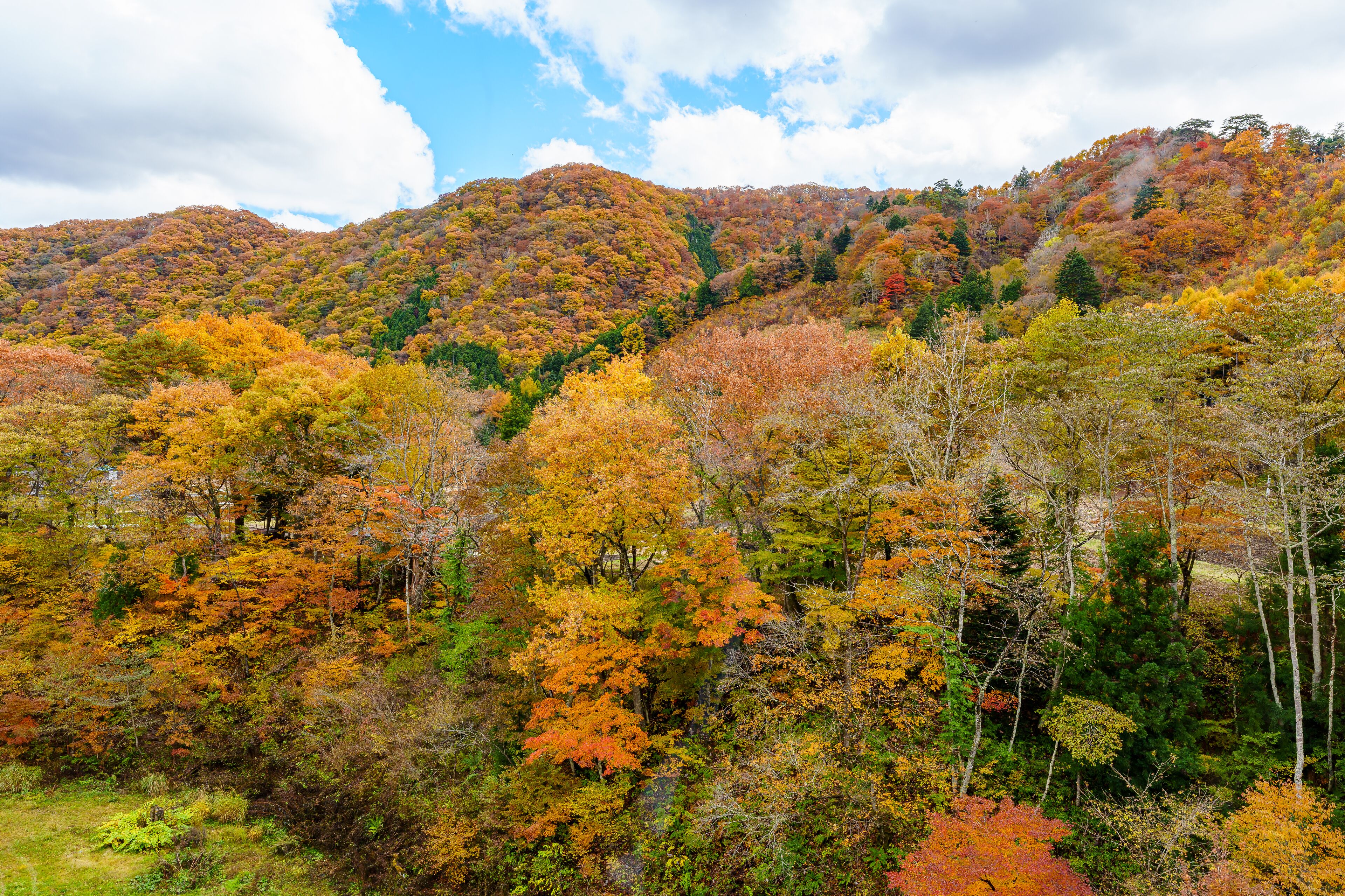 A mountainous landscape with autumn foliage.