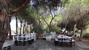An outdoor dining area with wooden tables and benches, surrounded by trees.
