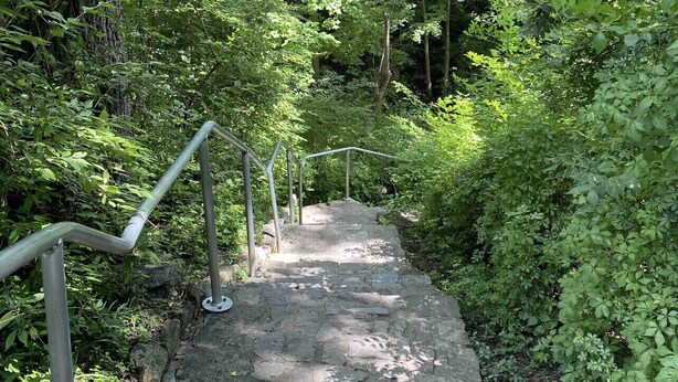Eine steinerne Treppe mit Metallgeländern, die an einen bewaldeten Weg führt.