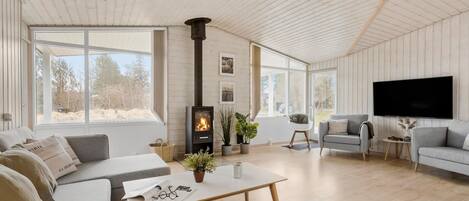 TV, fireplace, DVD player
