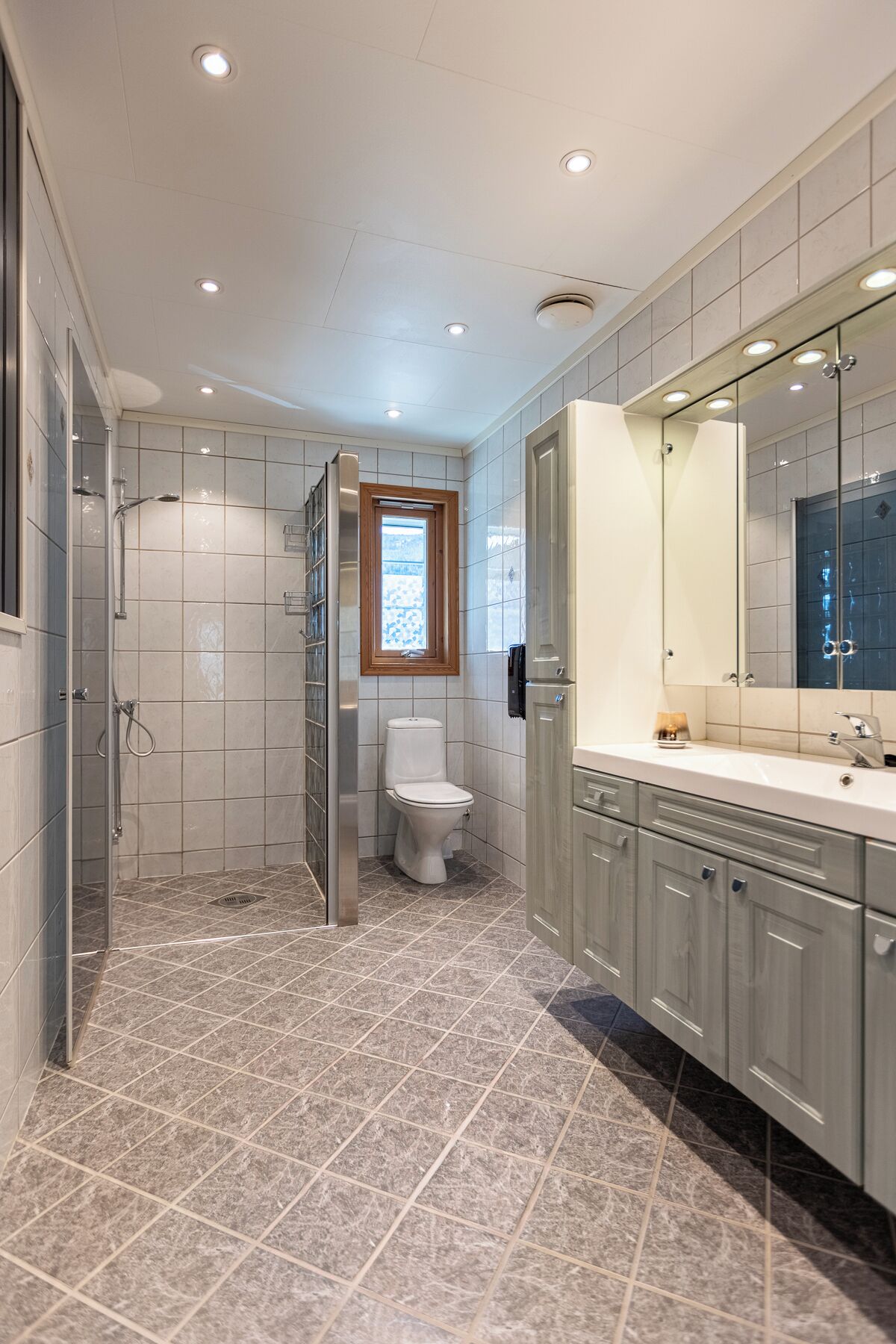 A modern bathroom with a walk-in shower, a toilet, and a vanity with a large mirror.