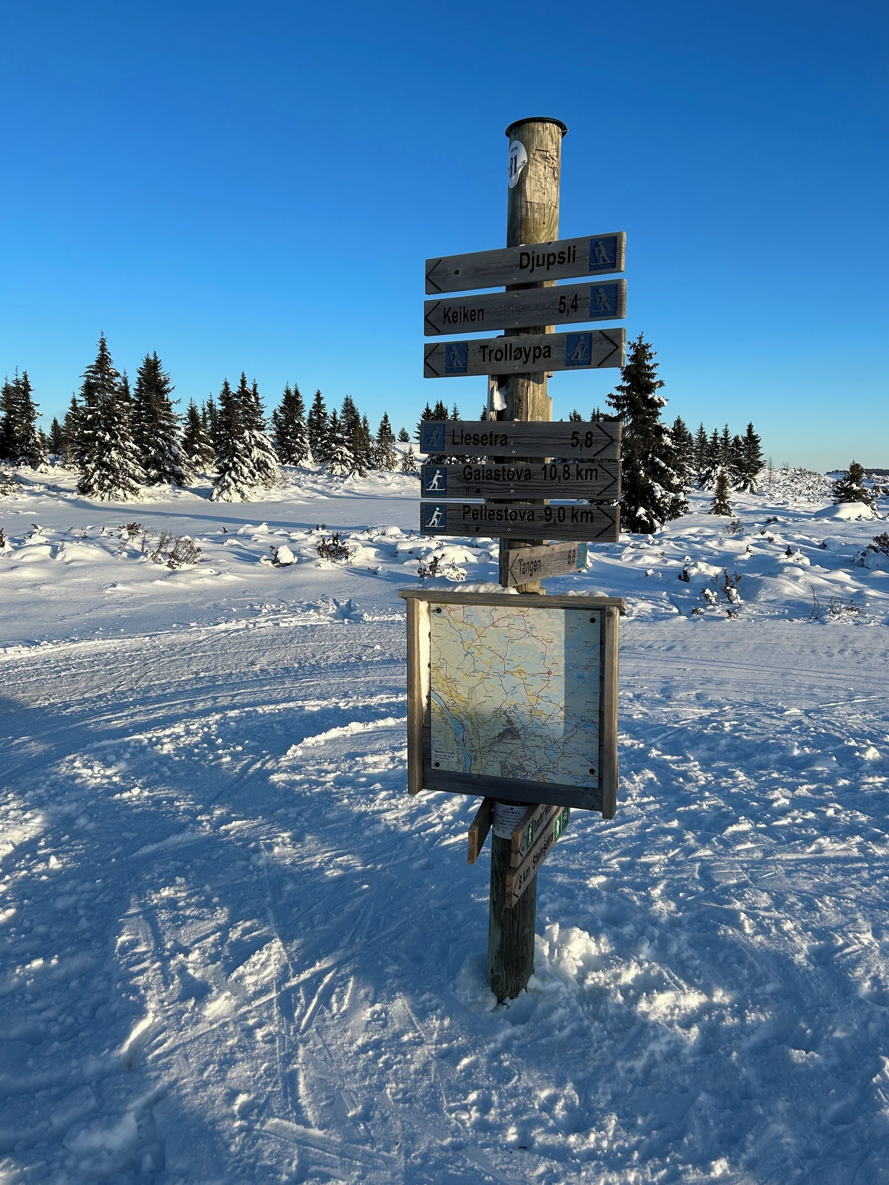 Un senyal de fusta amb indicadors direccionals en un paisatge nevós.