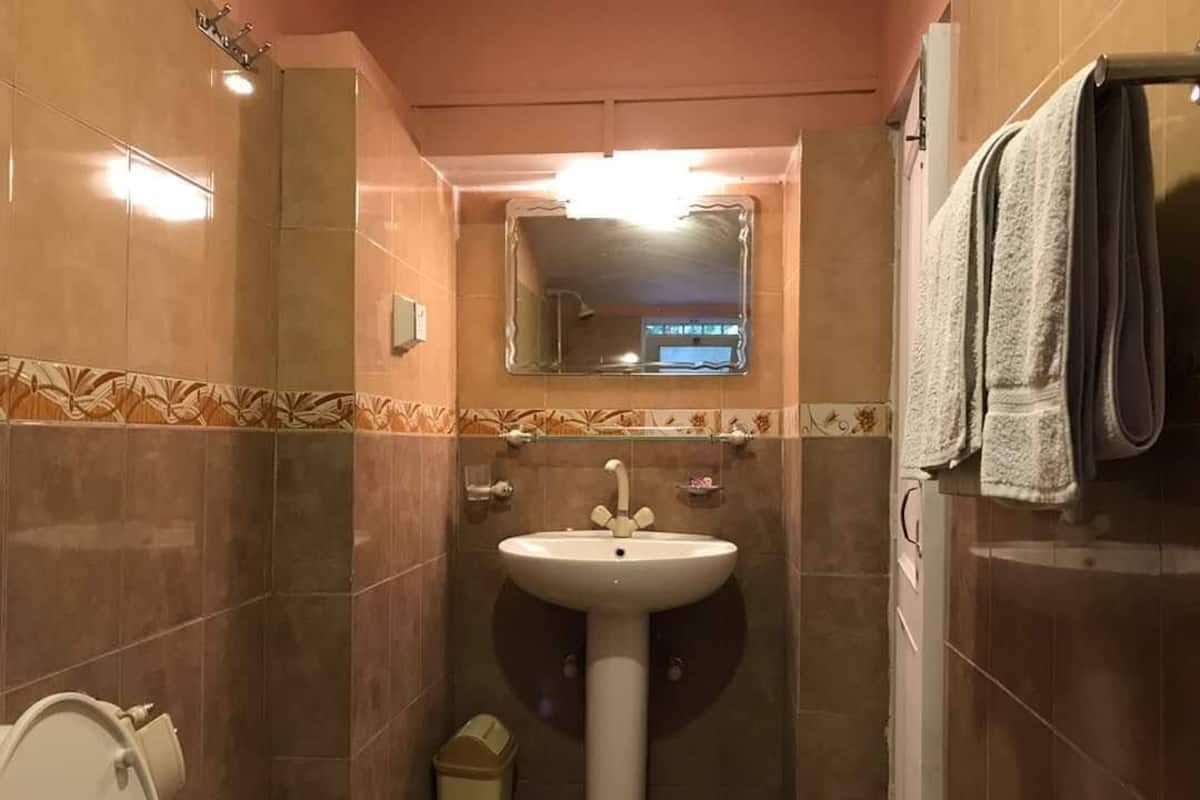 Deluxe Double Room | Iron/ironing board, free WiFi